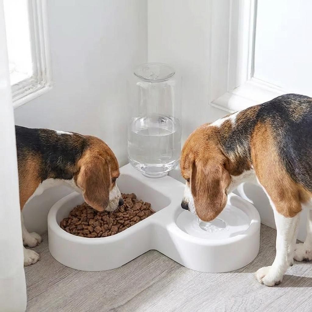 Space-Saving Corner Pet Feeder & Automatic Water Dispenser